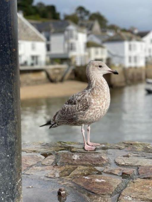 Marners Rock No 1 Apartment Fowey Exterior foto